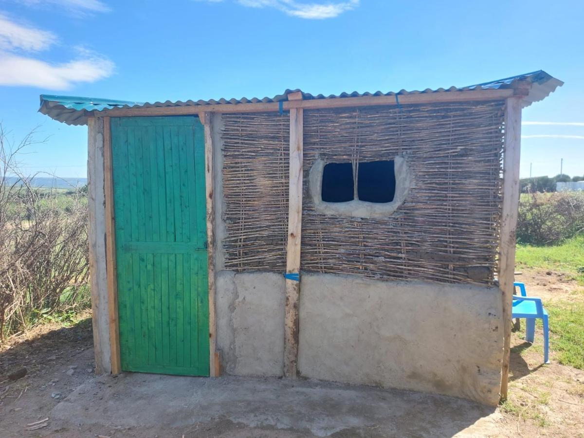 Maasai Homestay Camping Sekenani Dış mekan fotoğraf